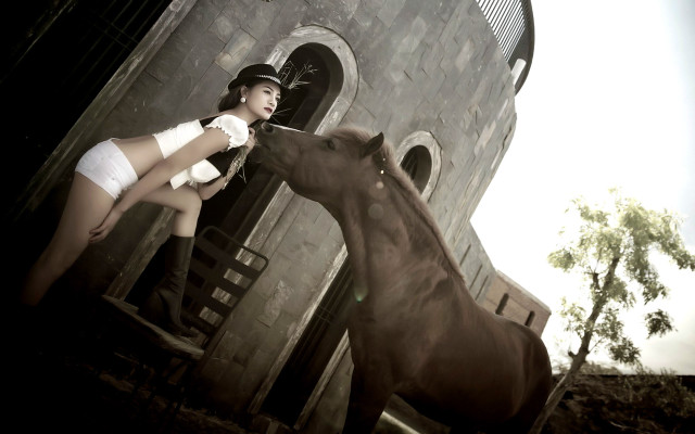 Woman white dress feeding horse free wallpaper for desktop - medium preview image