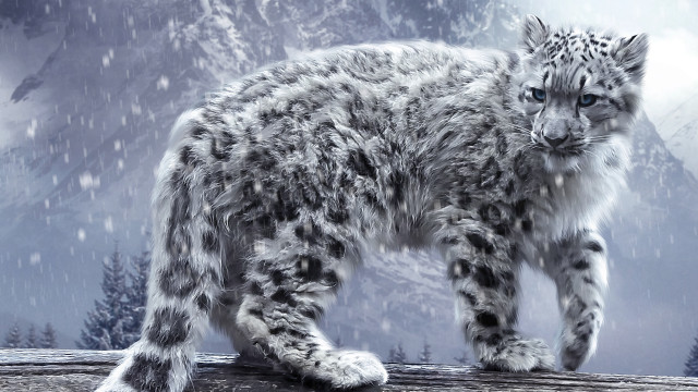 Snow leopard log snow mountain free wallpaper for desktop - medium preview image