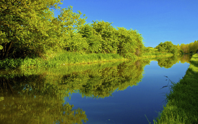 River trees blue sky autumn free wallpaper for desktop - medium preview image