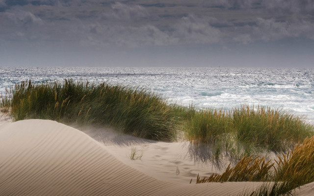 Grassy water sand dunes cloudy free wallpaper for desktop - medium preview image