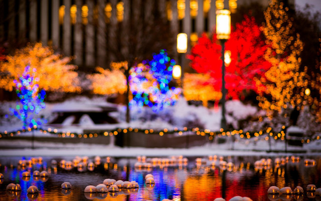 Pond lights trees night reflection free wallpaper for desktop - medium preview image