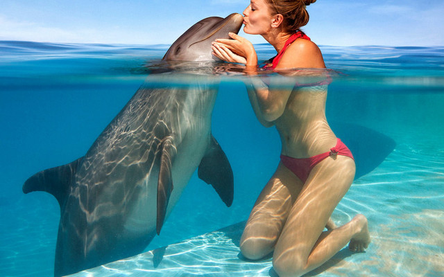 Woman dolphin kissing water ocean free wallpaper for desktop - medium preview image