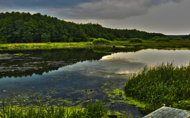 Lake forest bench clouds matte free wallpaper for desktop - medium preview image