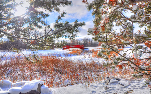 Red bridge snowy field autumn free wallpaper for desktop - medium preview image