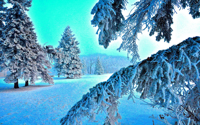 Snowy landscape trees blue sky free wallpaper for desktop - medium preview image