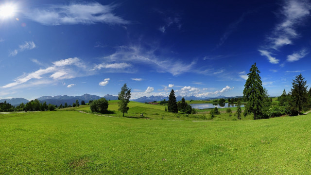 Green field trees lake sky free wallpaper for desktop - medium preview image