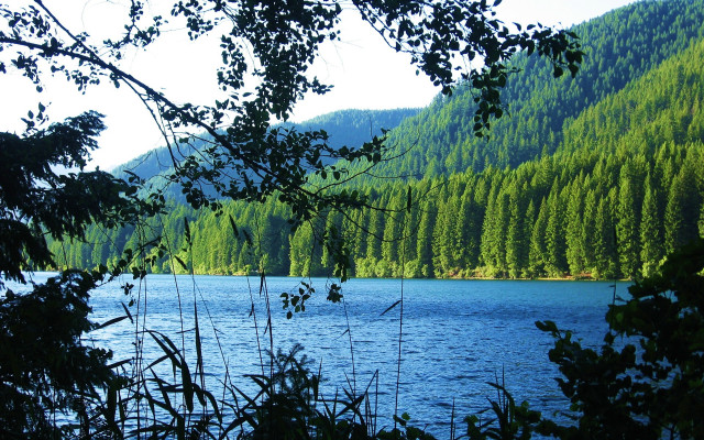 Lake mountains trees clouds park free wallpaper for desktop - medium preview image