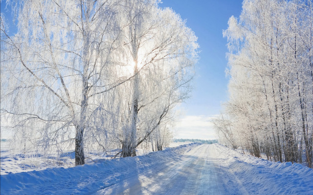 Snowy road trees blue sky #2 free wallpaper for desktop - medium preview image