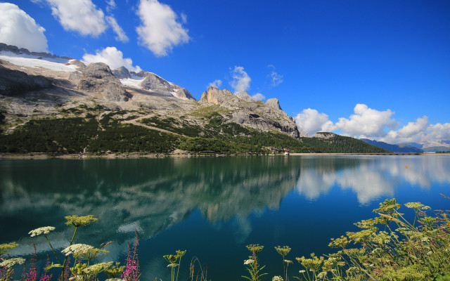 Mountain lake reflection wildflowers landscape free wallpaper for desktop - medium preview image