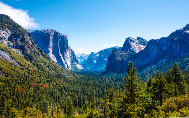 Valley mountains trees foreground scenic free wallpaper for desktop - medium preview image