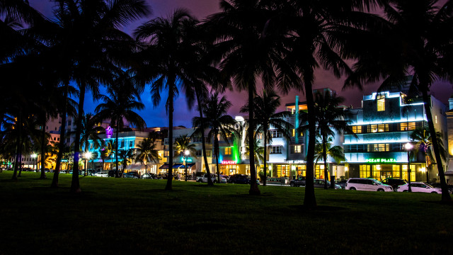 Night cityscape palm trees architecture free wallpaper for desktop - medium preview image
