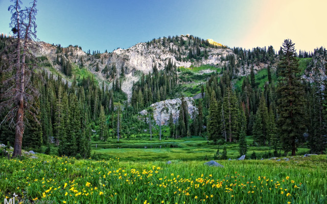 Mountain meadow trees blue sky free wallpaper for desktop - medium preview image