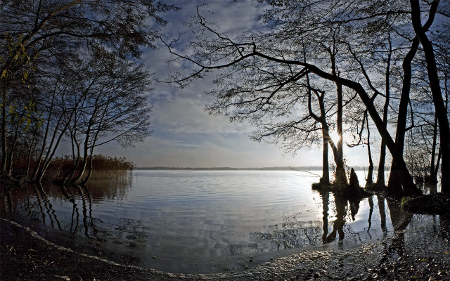 Lake tree sky clouds sunset free wallpaper for desktop - medium preview image