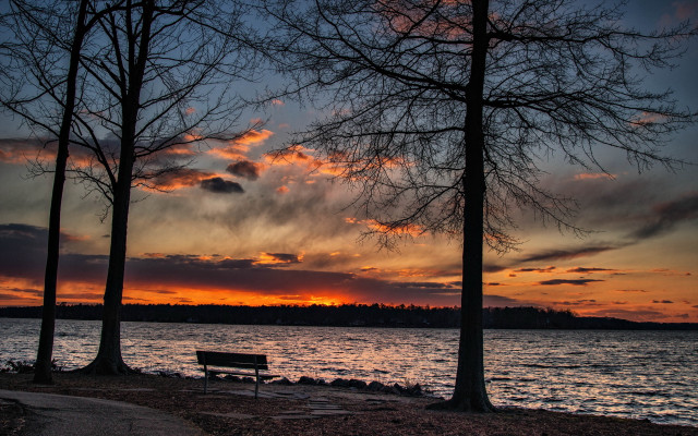 Lake bench trees sunset autumn free wallpaper for desktop - medium preview image