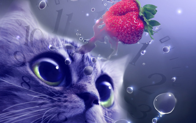 Cat strawberry bubbles clock surreal free wallpaper for desktop - medium preview image