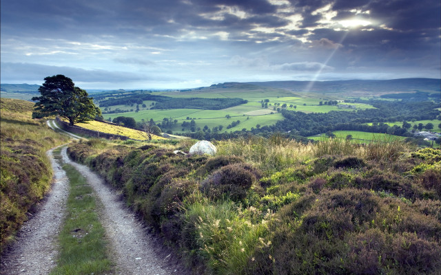 Dirt road green countryside cloudy free wallpaper for desktop - medium preview image