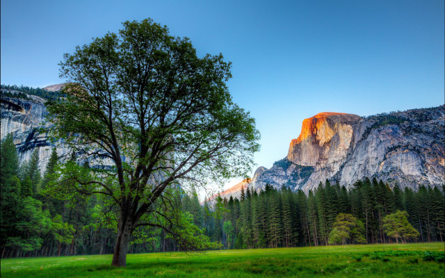 Tree field mountains blue sky #3 free wallpaper for desktop - medium preview image