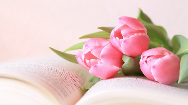 Pink flowers open book gradient free wallpaper for desktop - medium preview image