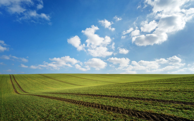 Large field sky tracks horizon free wallpaper for desktop - medium preview image