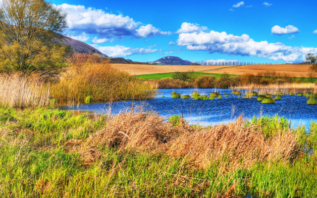 Pond trees mountain clouds field free wallpaper for desktop - medium preview image