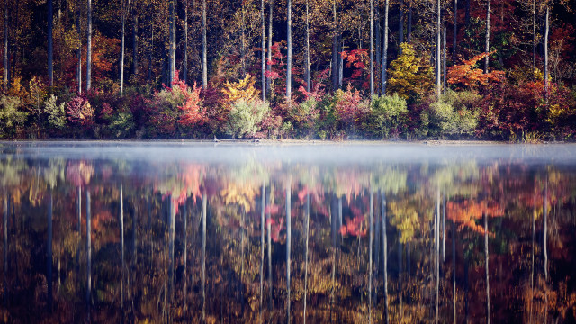 Autumn lake reflections foggy sky free wallpaper for desktop - medium preview image