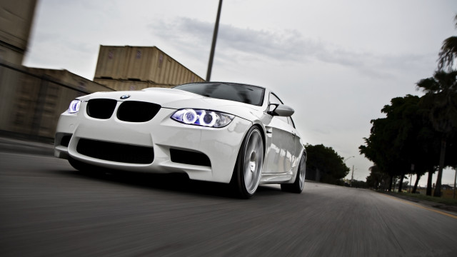 White car driving street palm free wallpaper for desktop - medium preview image