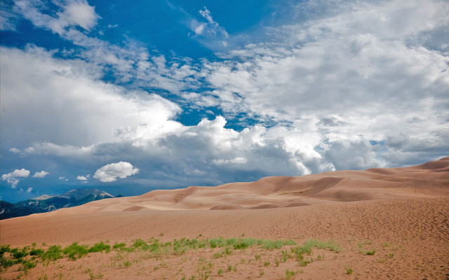 Large sandy field trees clouds free wallpaper for desktop - medium preview image