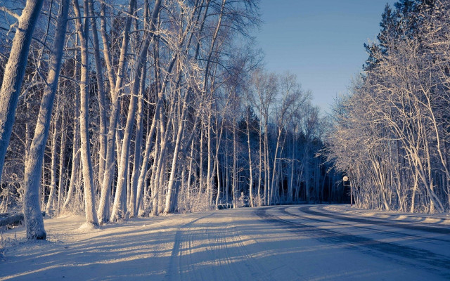 Snowy road forest city winter free wallpaper for desktop - medium preview image
