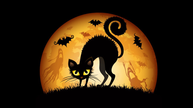 Black cat full moon bats free wallpaper for desktop - medium preview image