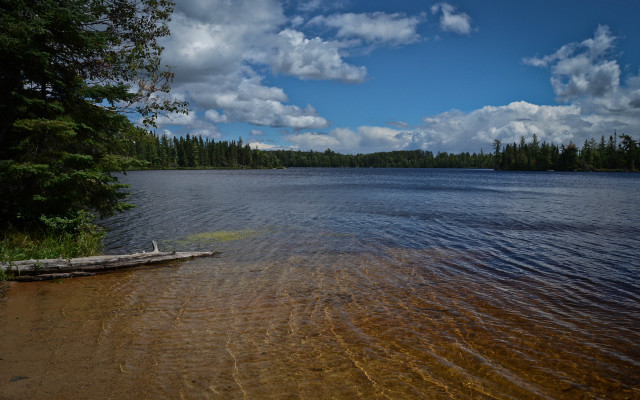 Lake tree line clouds shore free wallpaper for desktop - medium preview image