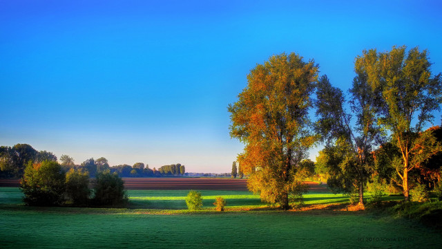 Autumn landscape trees blue sky free wallpaper for desktop - medium preview image