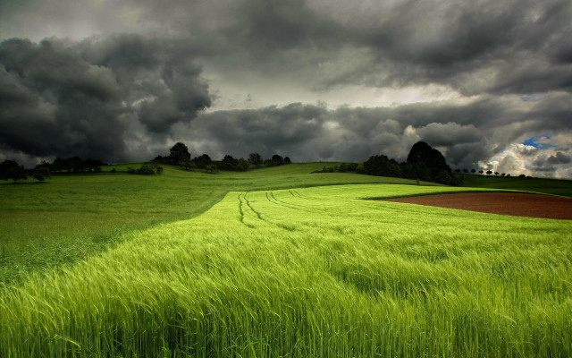 Green grass cloudy sky hill free wallpaper for desktop - medium preview image