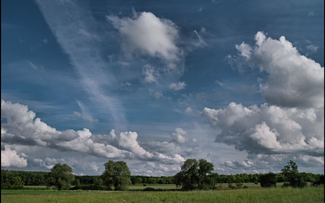 Field trees clouds cows mountain #2 free wallpaper for desktop - medium preview image