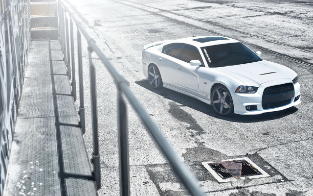 White car street fence cobra free wallpaper for desktop - medium preview image