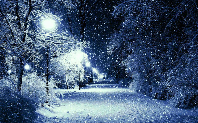 Snowy path trees streetlights night free wallpaper for desktop - medium preview image