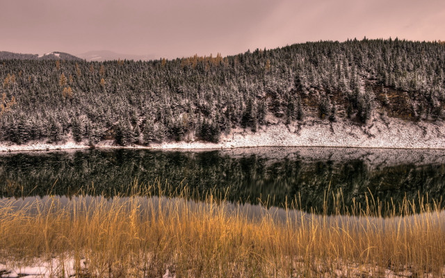 Lake tallgrass trees mountain snow free wallpaper for desktop - medium preview image