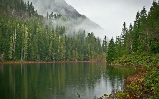 Lake fog mountain trees nature free wallpaper for desktop - medium preview image