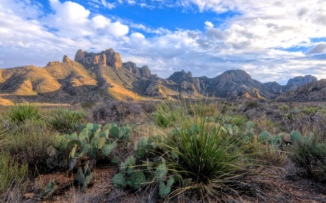 Desert mountain cactus cloudy sky free wallpaper for desktop - medium preview image