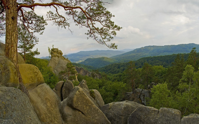 Mountain range forests rivers rocks free wallpaper for desktop - medium preview image