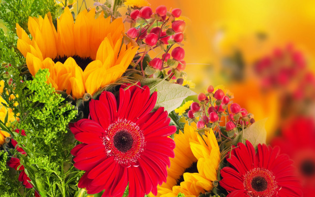 Flower bouquet yellow background red free wallpaper for desktop - medium preview image