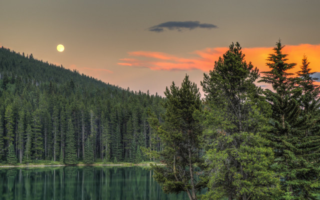 Full moon lake mountains trees free wallpaper for desktop - medium preview image