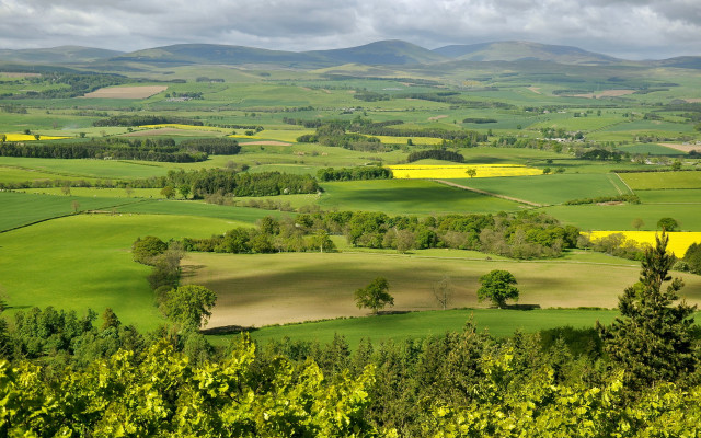 Green field trees mountains clouds #2 free wallpaper for desktop - medium preview image