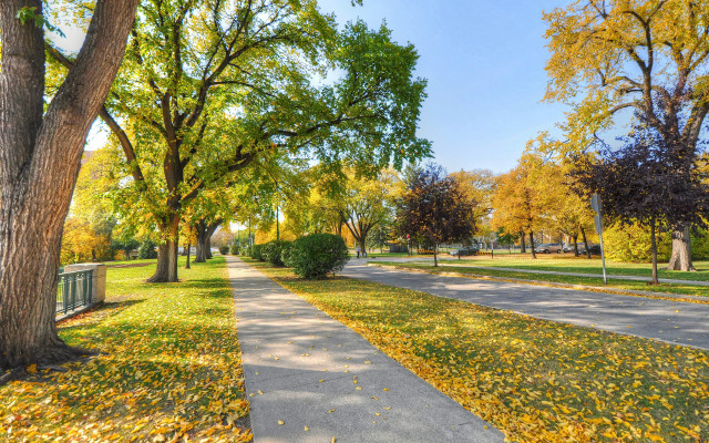 Park bench autumn leaves tiltshift free wallpaper for desktop - medium preview image