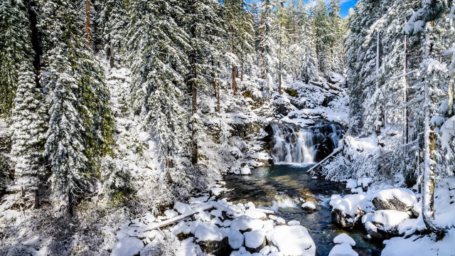Stream forest snow covered rocks free wallpaper for desktop - medium preview image
