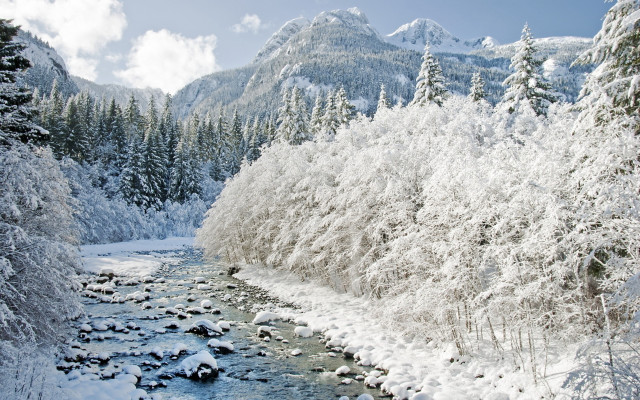 Snowy river forest mountains winter free wallpaper for desktop - medium preview image