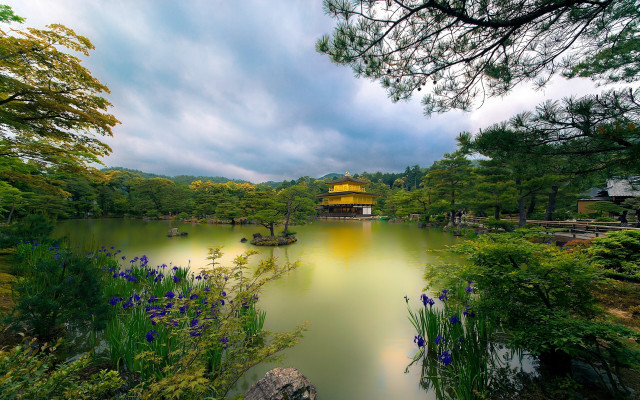 Pond trees flowers pagoda yellow free wallpaper for desktop - medium preview image