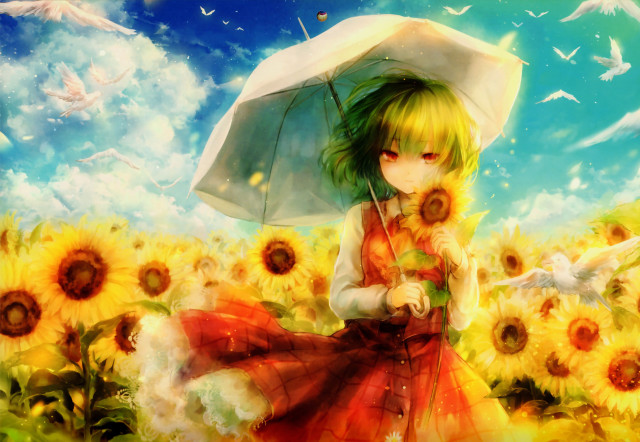 Woman sunflower umbrella field birds free wallpaper for desktop - medium preview image