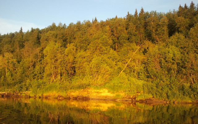 River boat autumn leaves forest free wallpaper for desktop - medium preview image