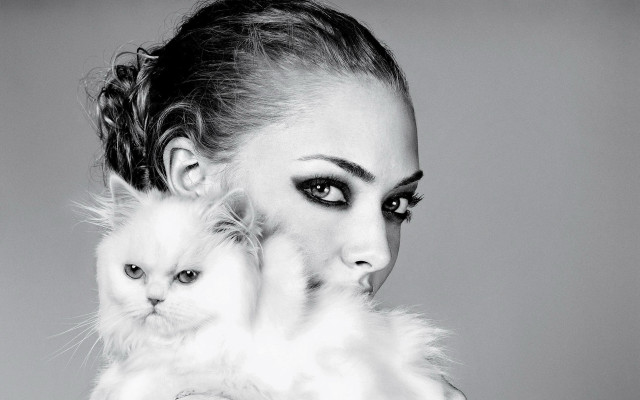 Woman cat animals black white free wallpaper for desktop - medium preview image