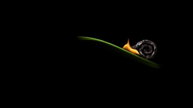 Snail green leaf night surreal free wallpaper for desktop - medium preview image